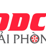 DDCI-hai-phong-logo