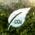 Carbon Market