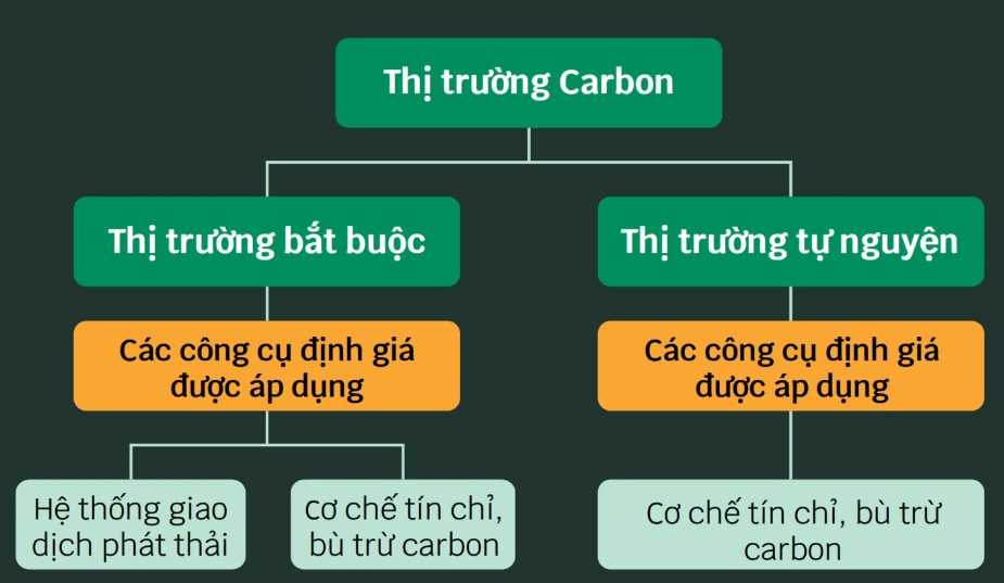 Cơ chế định giá carbon được áp dụng ở hai loại thị trường carbon